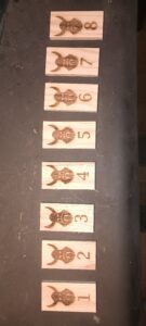 IMG_20240813_215355833